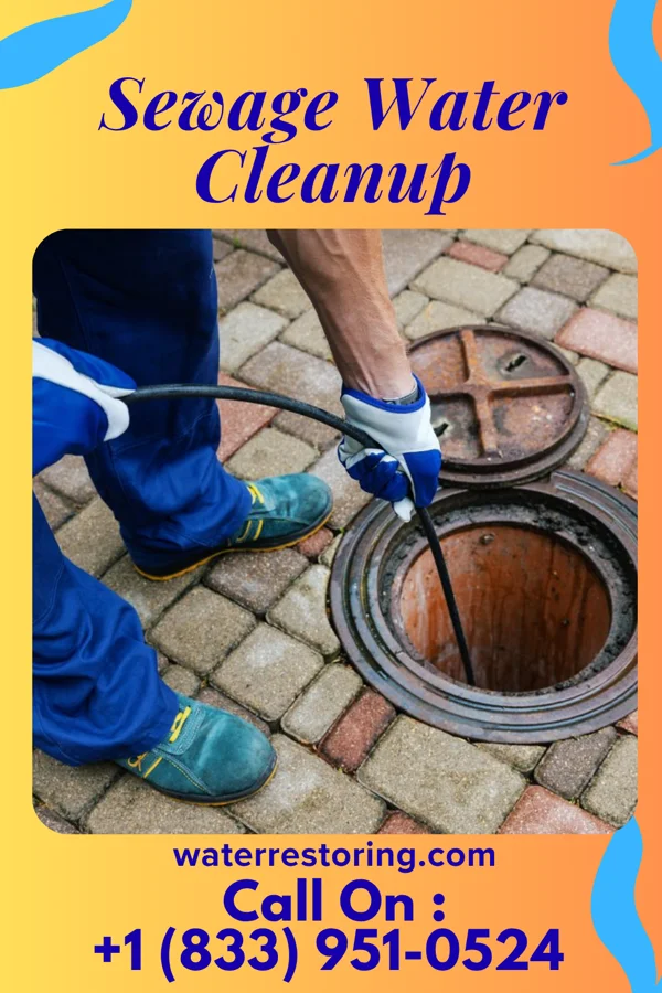Sewage Water Cleanup in Kennan, WI